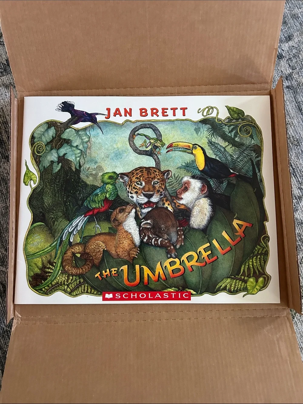Scholastic Classroom Big Book- The Umbrella